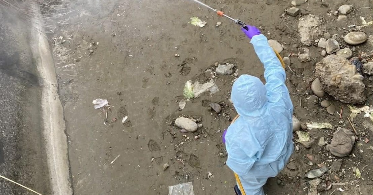 新／豐康牧場禽流感涉隱匿 中檢聲押禁見業者、地主