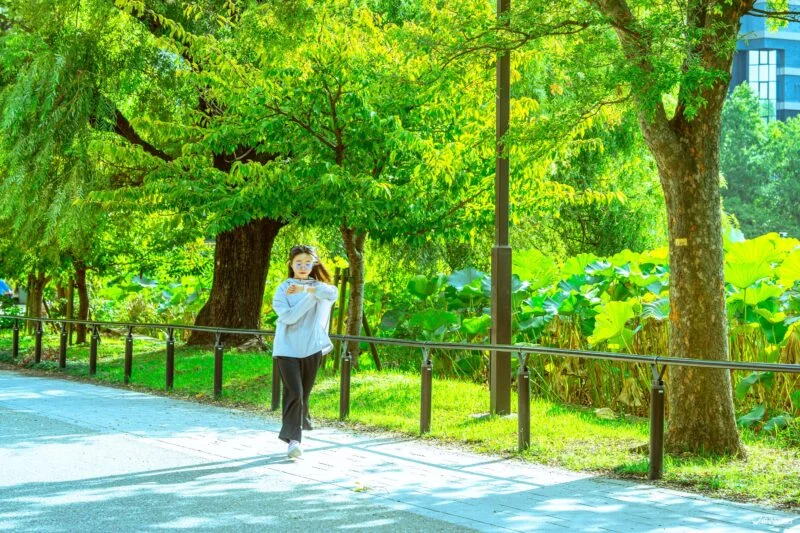 2026日本保健食品推薦：WSP精選5款打造每日自我保養習慣